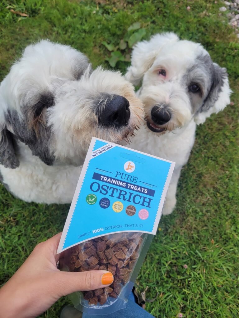 Dog Treat Guild by Breed Size
