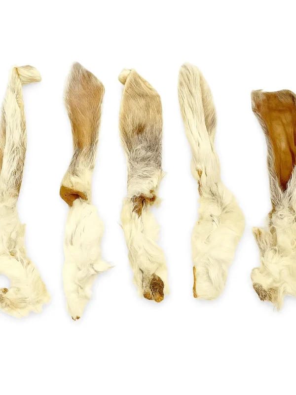 Rabbit Ear