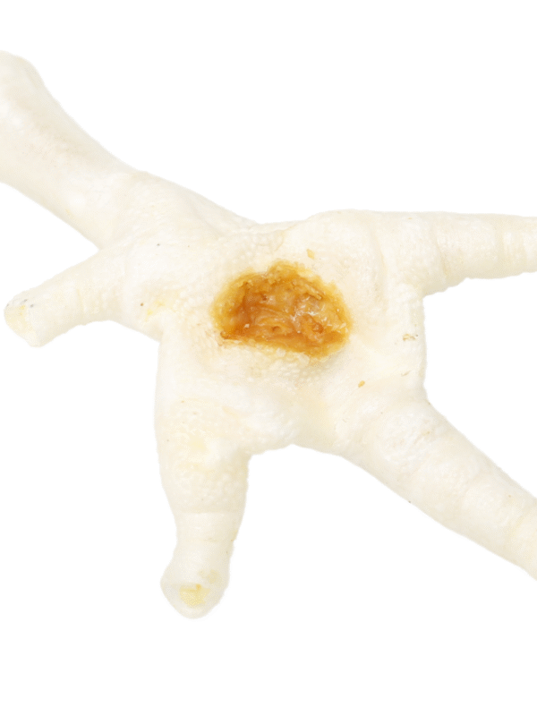 Puffed Chicken Feet