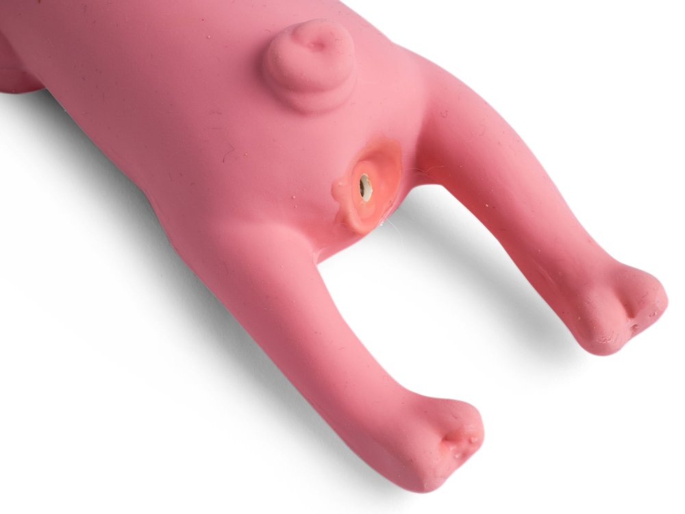 PIG 3